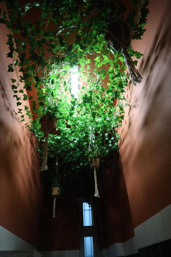 Appartement 61